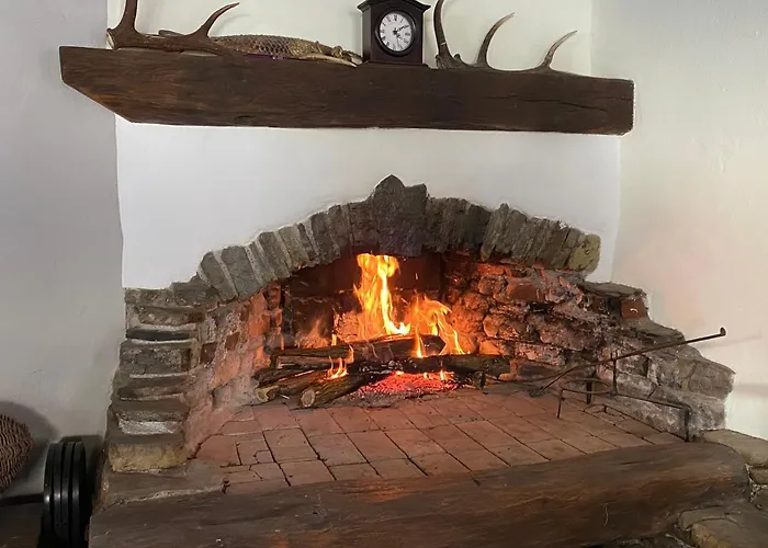 Hisa Brdo 3* تولمين