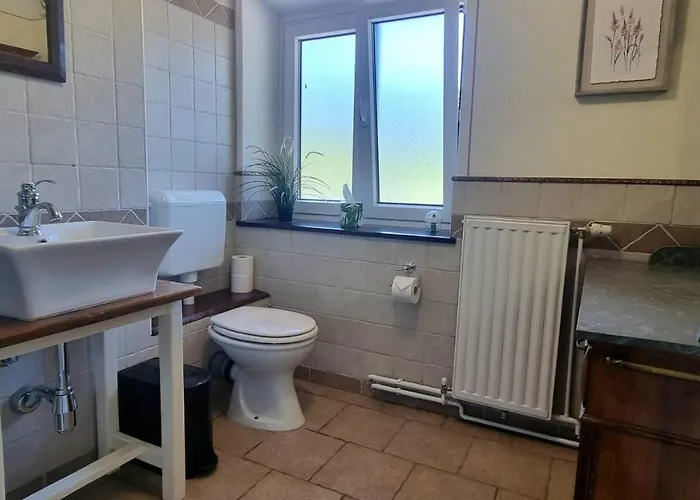 Hisa Brdo 3* تولمين