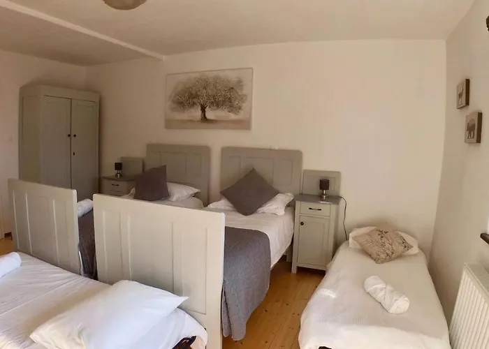 Hisa Brdo 3* تولمين