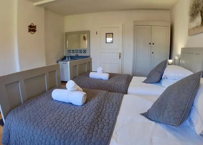 Hisa Brdo تولمين