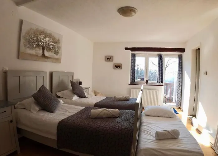 Hisa Brdo بيت ضيافة تولمين