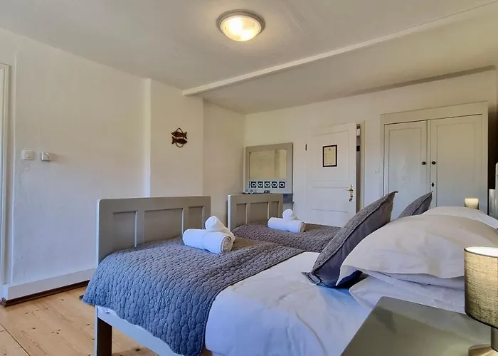 Hisa Brdo 3* تولمين