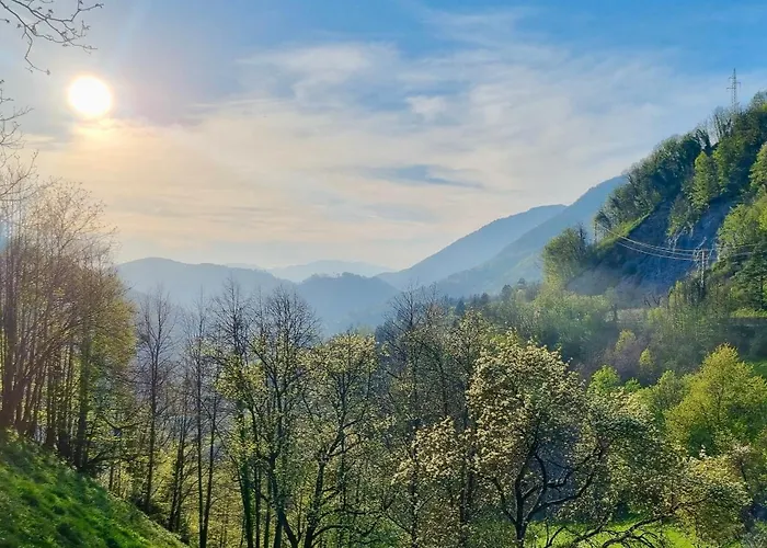 Hisa Brdo 3* تولمين